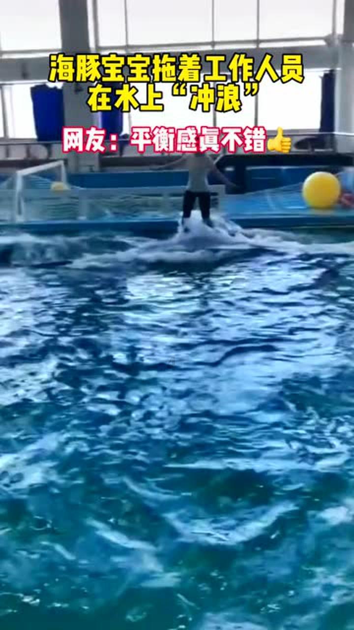 拯救精灵的土地5